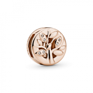 PANDORA 788822C01 шарм