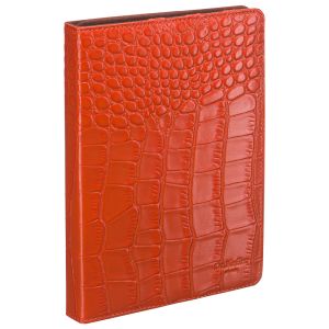 Чехол для iPad mini Dr. Koffer X510364-171-12