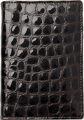 Обложка для паспорта X510130-30-09