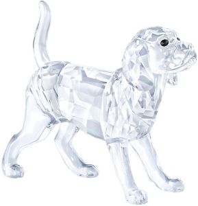 Swarovski Бигль 5135917
