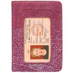 Обложка для автодокументов Dr. Koffer X268010-167-74