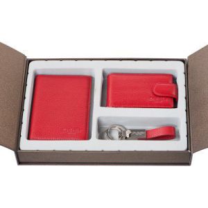 автодок+визитница+брелок Dr. Koffer X510280-01-12