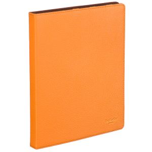 Чехол для iPad4/3/2 Dr. Koffer X510343-170-58