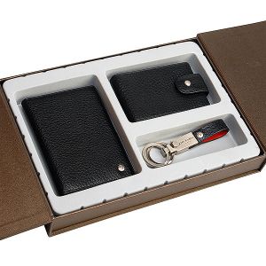 автодок+визитница+брелок Dr. Koffer X510280-77-12